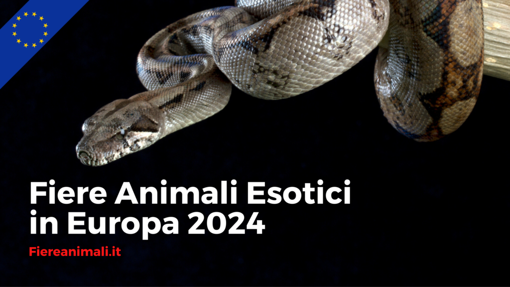 Fiere animali esotici Europee Rettili Calendario 2024 Fiere Animali